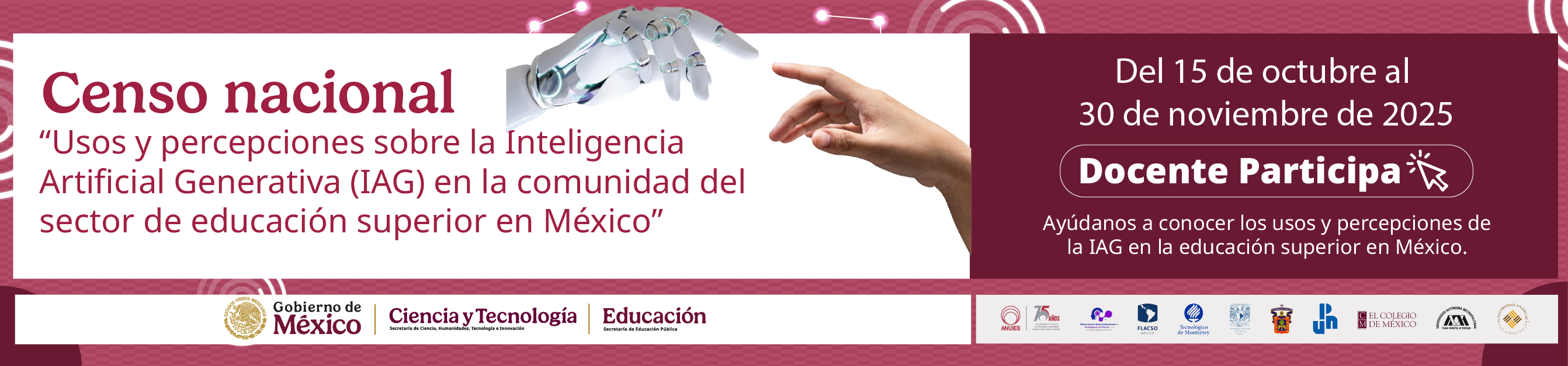 Censo Docentes